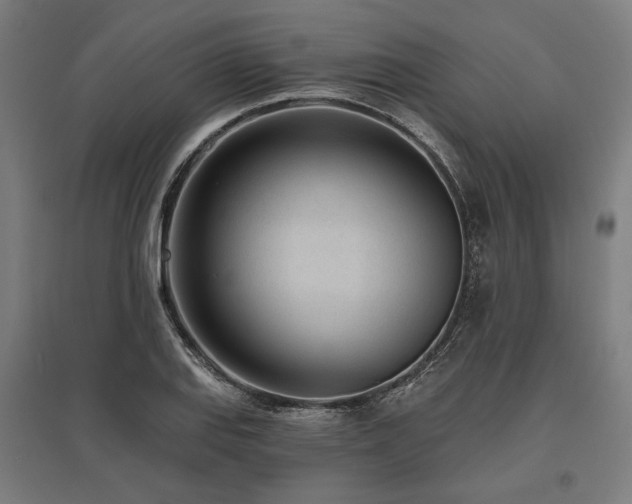 X0000096151127200801181156