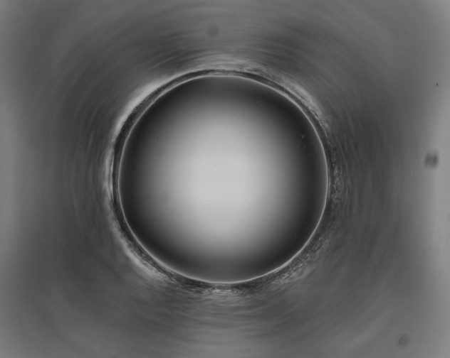 X0000096151128200801181156