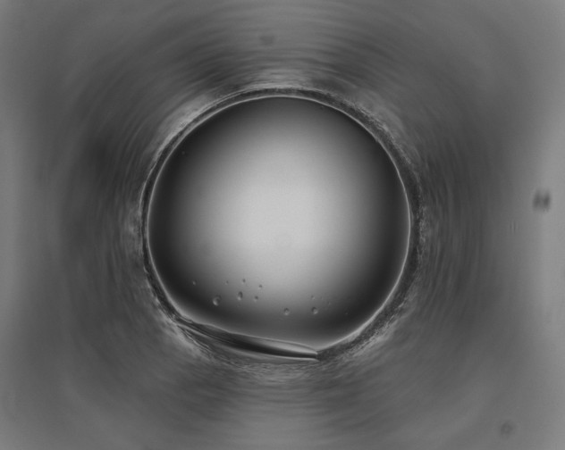X0000096151129200801181156
