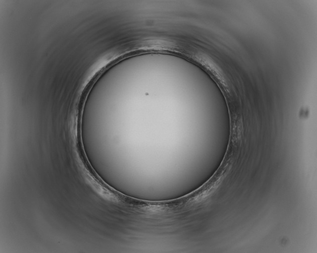 X0000096151130200801181156