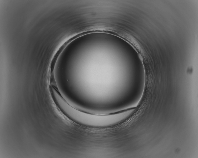 X0000096151132200801181156