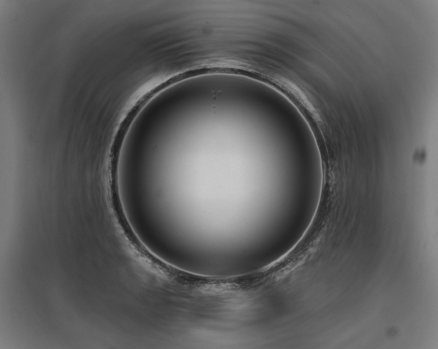 X0000096151133200801181156