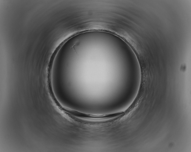 X0000096151134200801181156