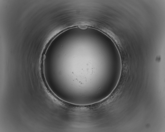 X0000096151135200801181156