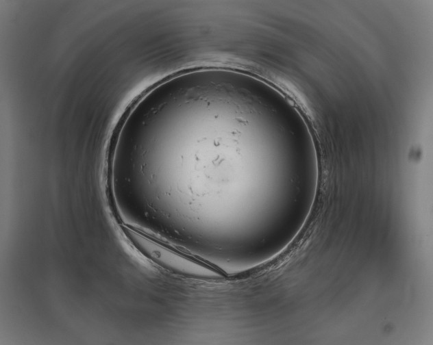 X0000096151136200801181156