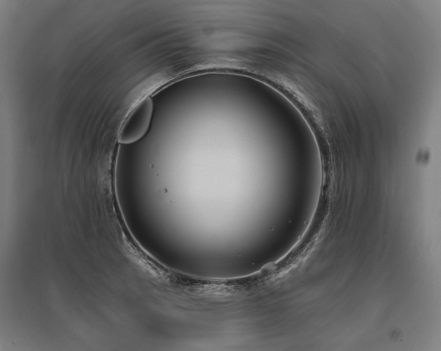 X0000096151137200801181156