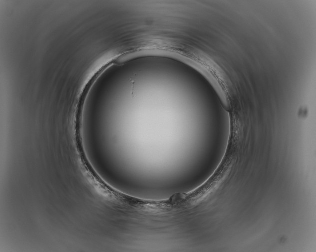 X0000096151138200801181156