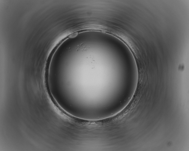 X0000096151139200801181156