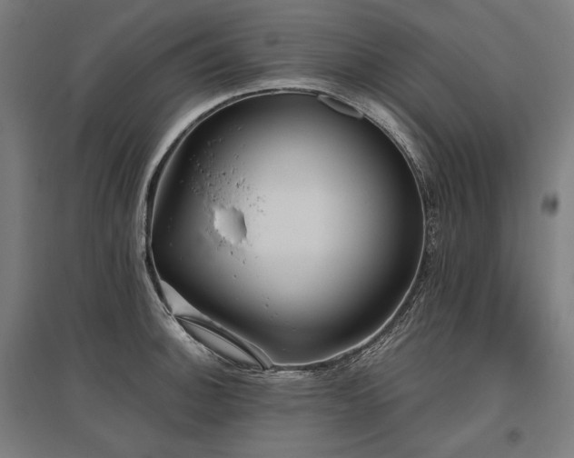 X0000096151140200801181156