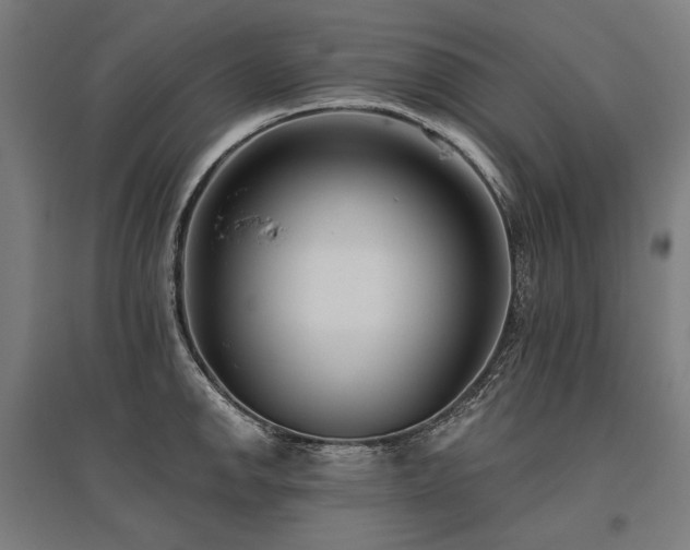 X0000096151142200801181156