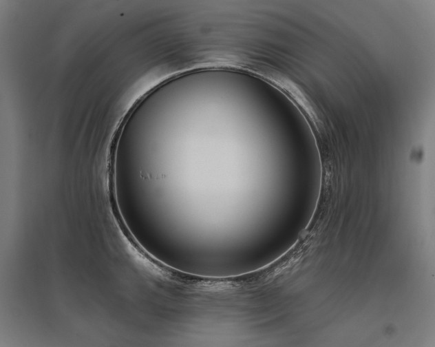 X0000096151143200801181156