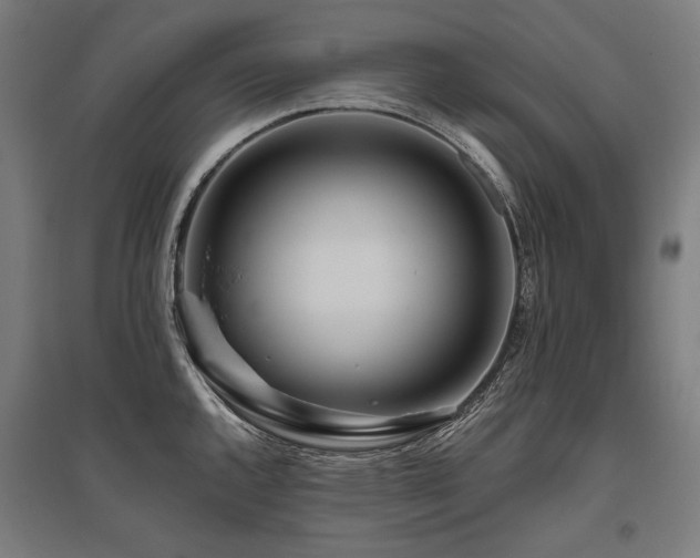 X0000096151144200801181157