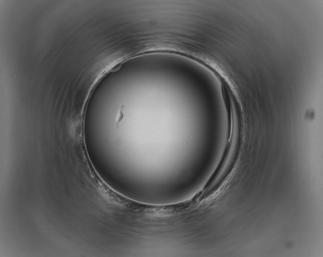 X0000096151145200801181157