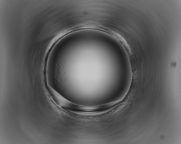 X0000096151146200801181157
