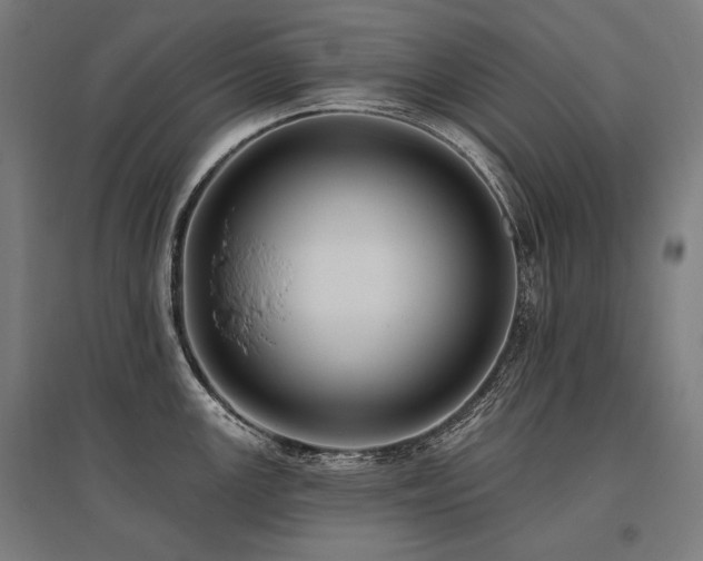 X0000096151147200801181157