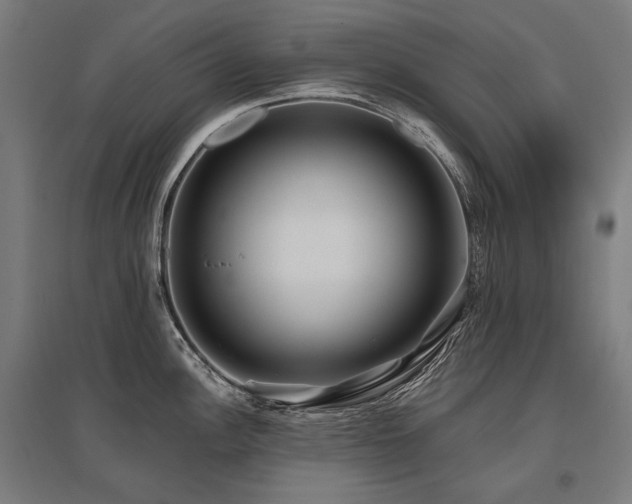 X0000096151148200801181157
