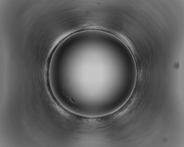 X0000096151149200801181157
