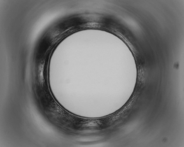 X0000096151150200801181157