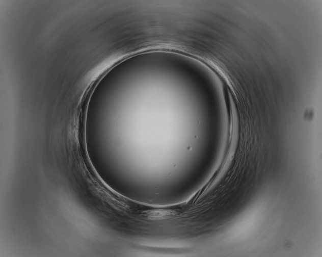X0000096151151200801181157
