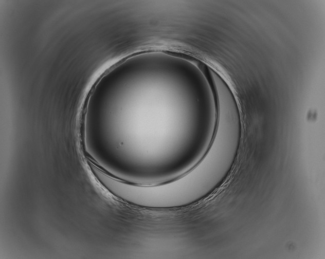 X0000096151152200801181157