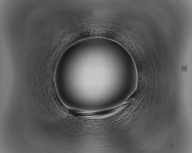 X0000096151153200801181156