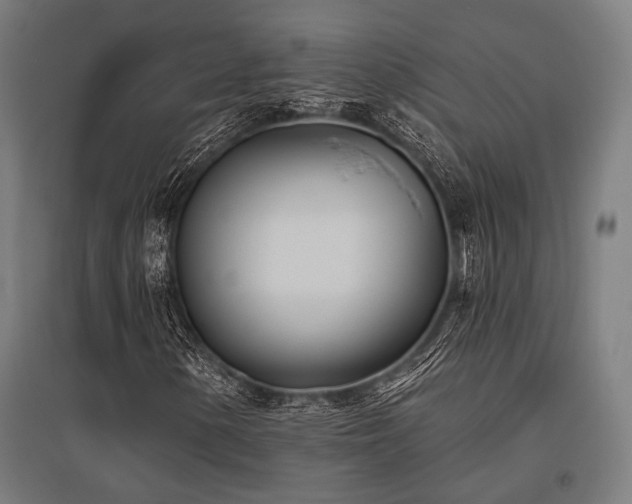 X0000096151154200801181156