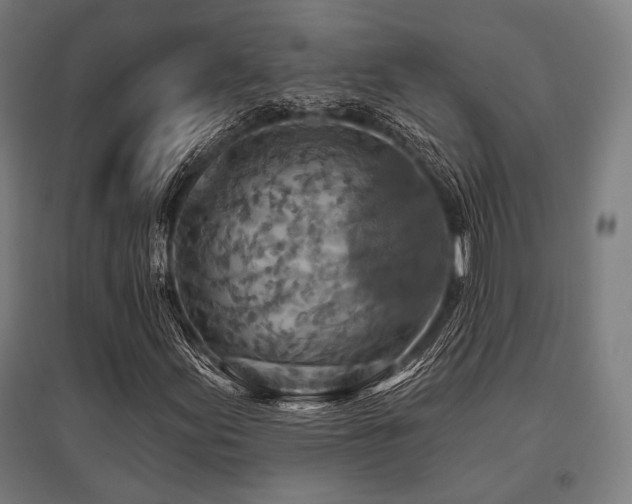 X0000096151155200801181156