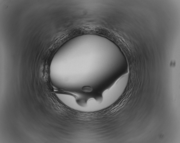 X0000096151156200801181156