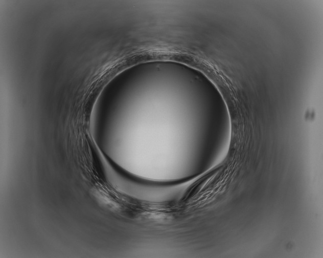 X0000096151157200801181156