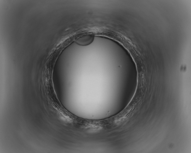X0000096151158200801181156