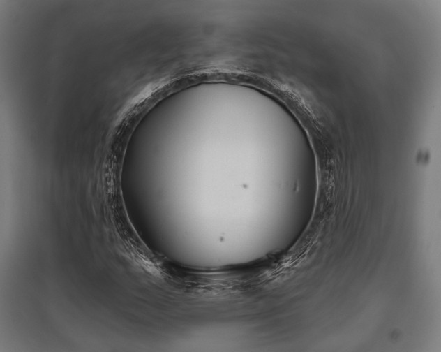 X0000096151159200801181156