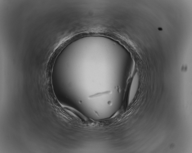 X0000096151160200801181156