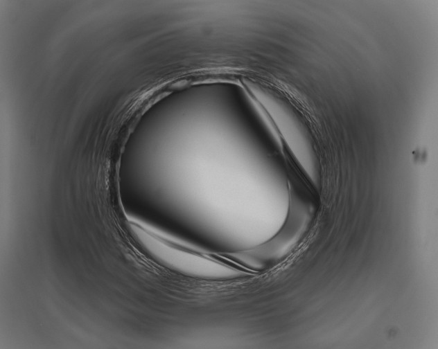 X0000096151161200801181156