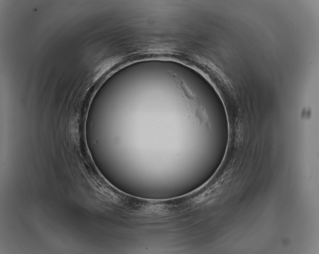X0000096151162200801181156