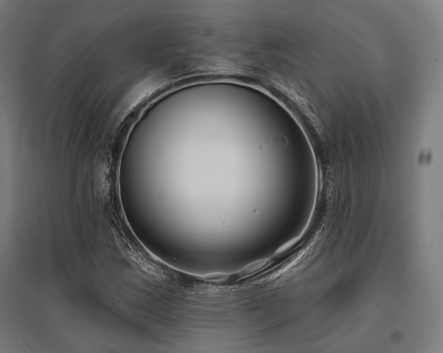 X0000096151163200801181156