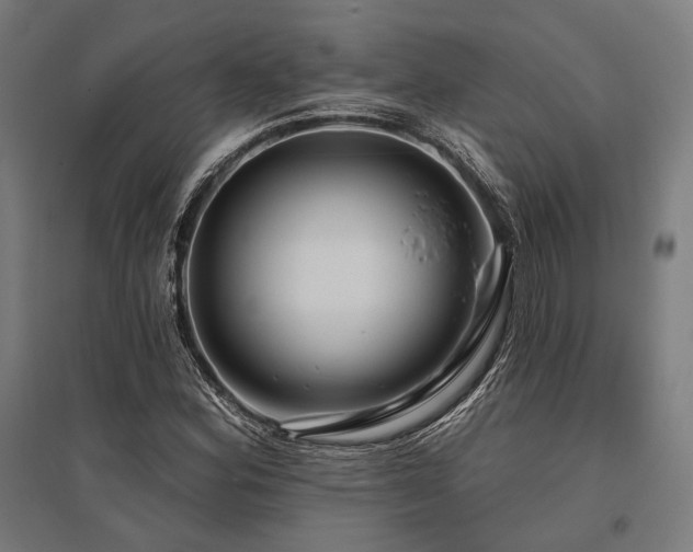 X0000096151164200801181156