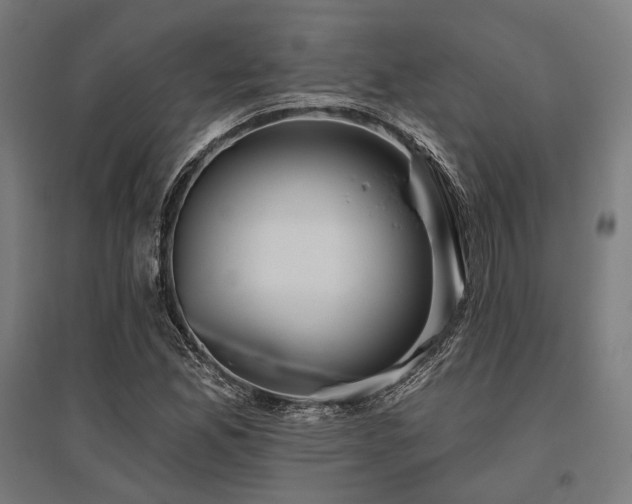 X0000096151165200801181156