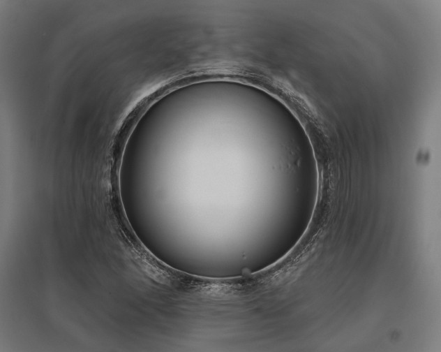 X0000096151166200801181156