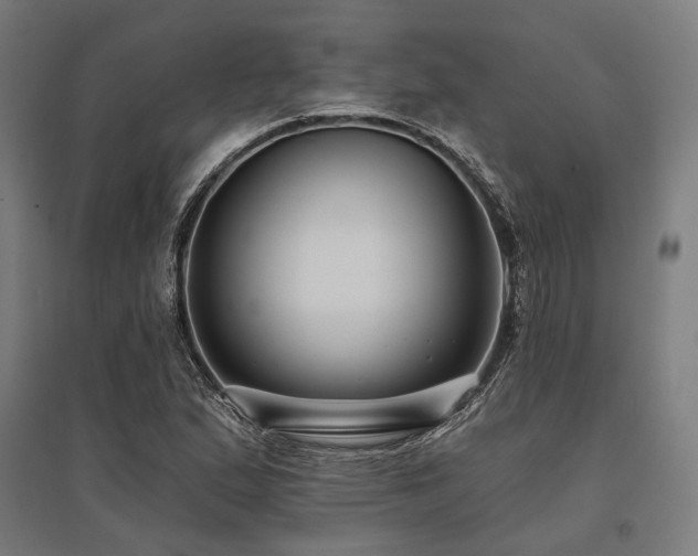 X0000096151167200801181156