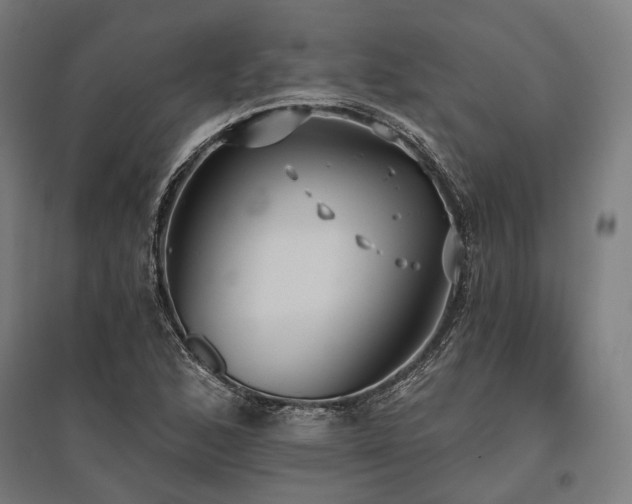 X0000096151168200801181156