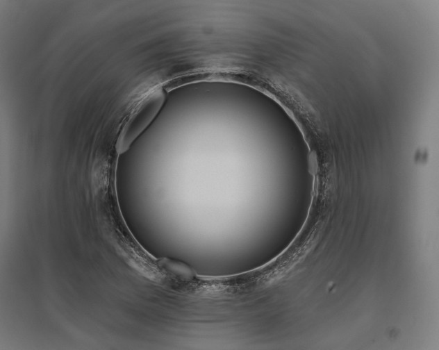 X0000096151169200801181156