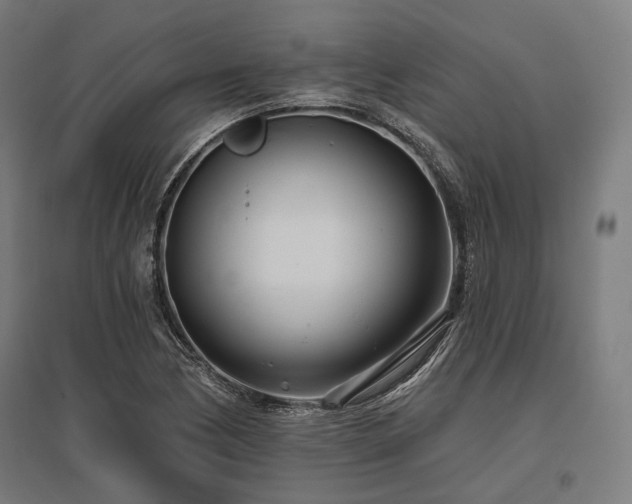 X0000096151170200801181156