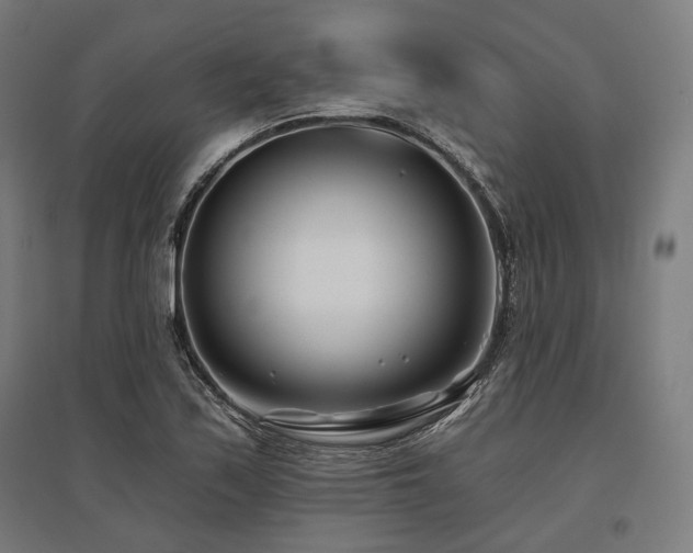 X0000096151171200801181156