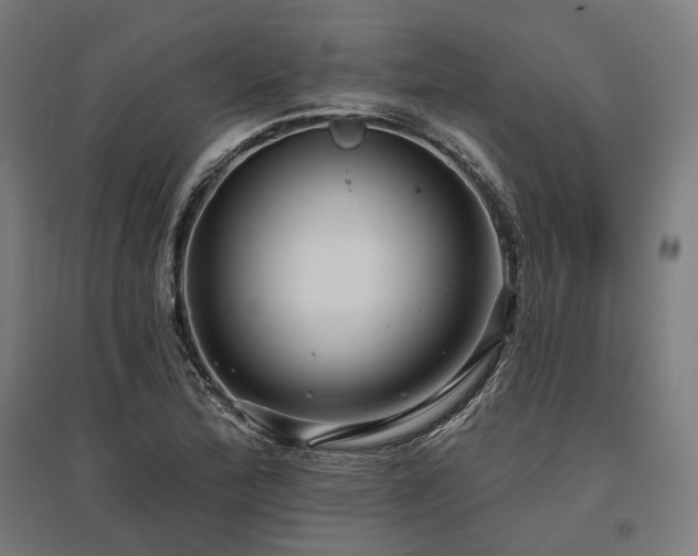 X0000096151172200801181156