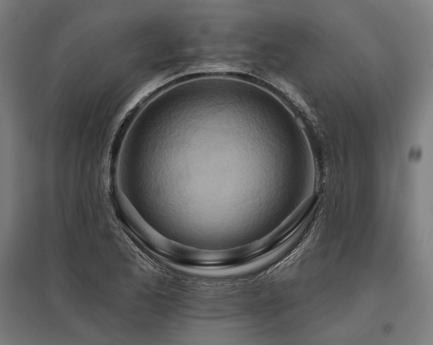 X0000096151173200801181156