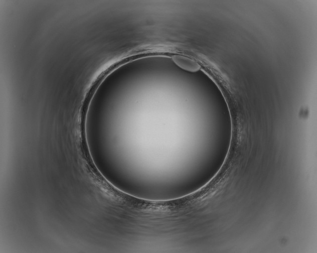 X0000096151174200801181156