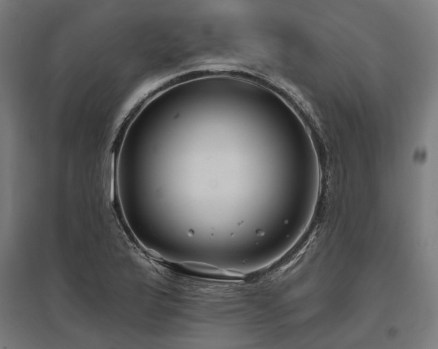X0000096151175200801181155