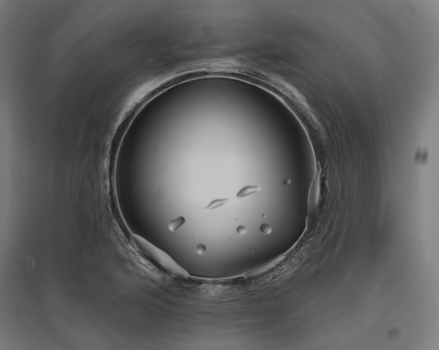 X0000096151176200801181155