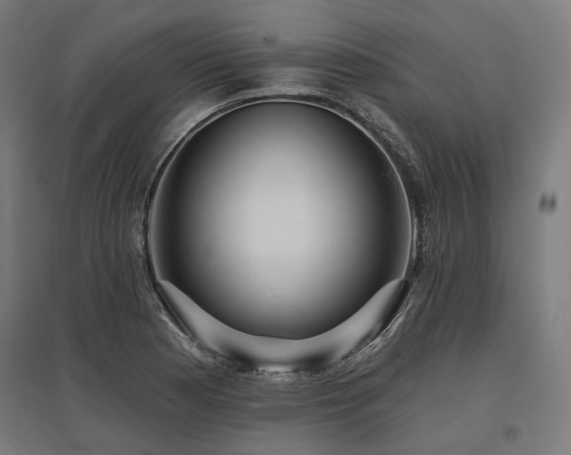 X0000096151177200801181155