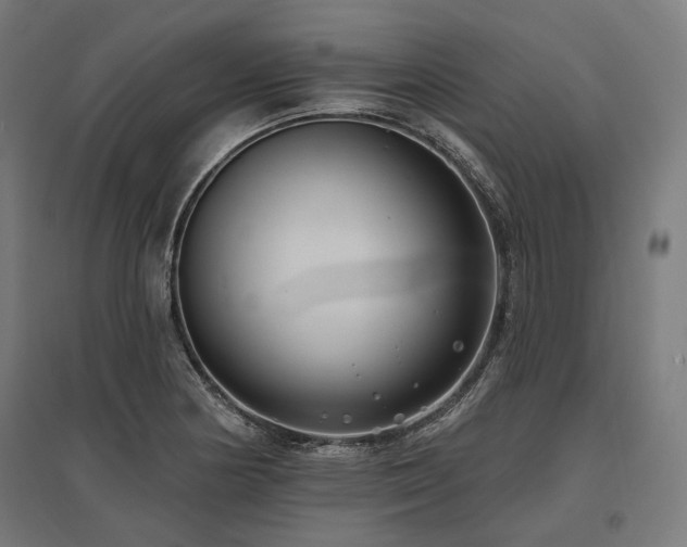 X0000096151178200801181155